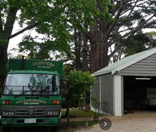 OConnors Tree Services